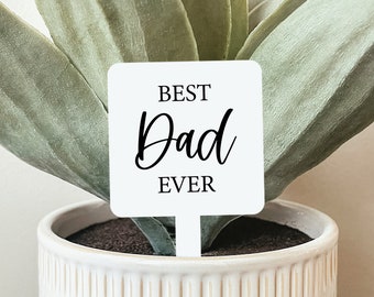 Father's Day Plant Stake (Multiple Styles), Best Dad Ever Plant Marker, Father's Day Gift, Gift For Dad, Dad Gift, Garden Stake, Plant Stake