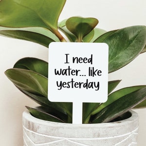 Funny Plant Markers Multiple Styles, Funny Plant Sign, Plant Markers, Garden Markers, Garden Stakes, Acrylic Garden Markers, Friend Gift Need Water Yesterday