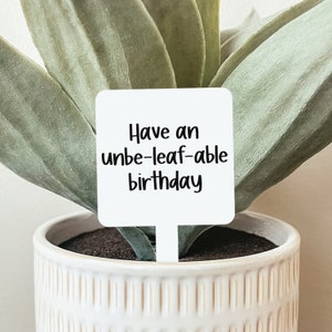 Happy Birthday Plant Marker, Birthday Plant Stake, Birthday Plant Gift, Birthday Gift, Plant Marker, Garden Marker, Acrylic Garden Stake image 2