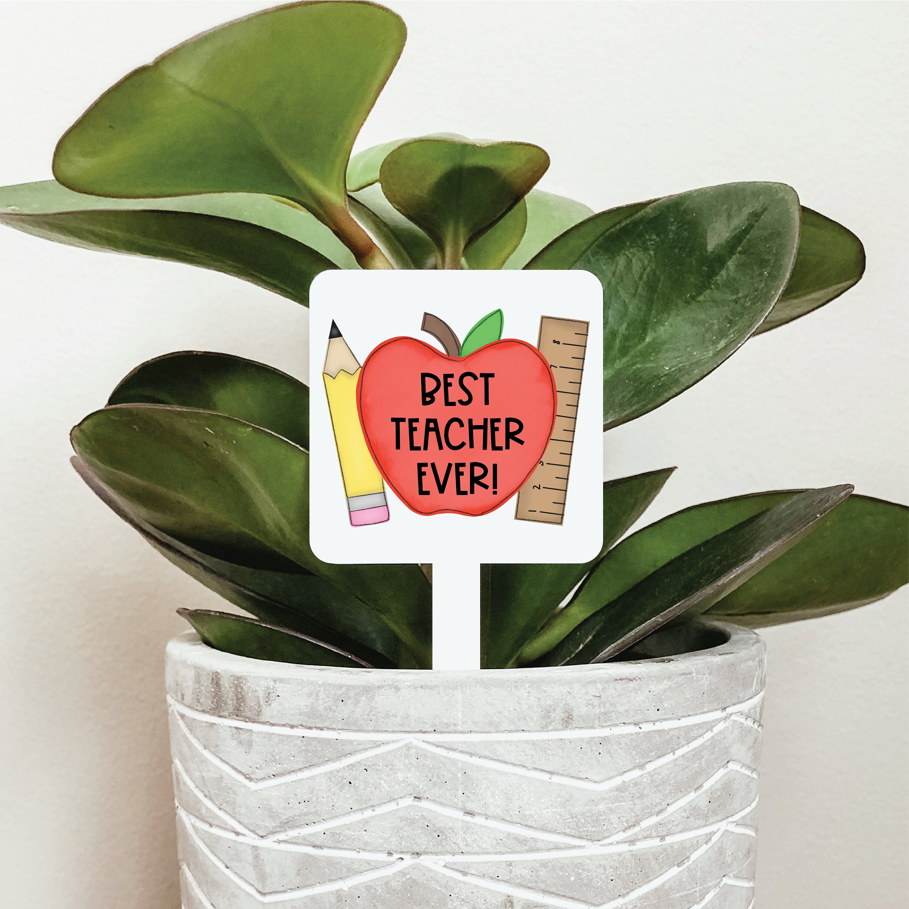 Best Teacher Ever Plant Marker Teacher Gift Idea Plant Etsy