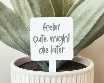 Feelin' Cute Might Die Later Plant Marker, Funny Plant Sign, Plant Markers, Garden Markers, Garden Stake, Acrylic Garden Markers, Gardening