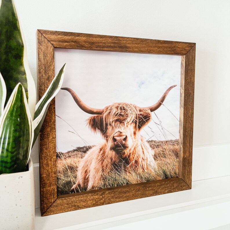 Puede incluir: Una impresi&oacute;n enmarcada de una vaca Highland con un largo pelaje marr&oacute;n y lanudo y grandes cuernos. La vaca est&aacute; de pie en un campo de hierba alta.
