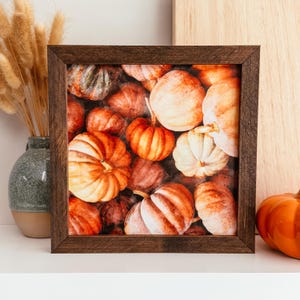 May include: A square wall art piece featuring a detailed print of various pumpkins in shades of orange, cream, and muted red, enclosed in a dark brown wooden frame. The artwork displays a dense arrangement of pumpkins with visible ridges and stems.