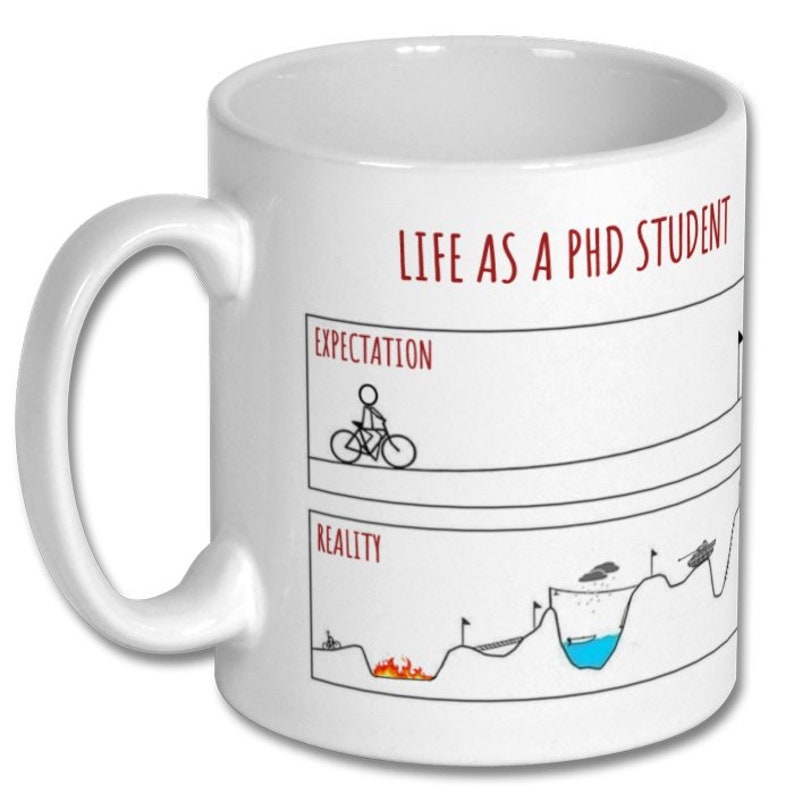 LIFE as a PHD STUDENT, expectations vs reality, phd student mug, phd student gift, doctorate mug, doctorate gift, phd graduation, new phd image 8