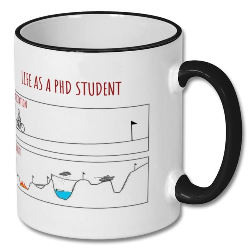 LIFE as a PHD STUDENT, expectations vs reality, phd student mug, phd student gift, doctorate mug, doctorate gift, phd graduation, new phd image 6