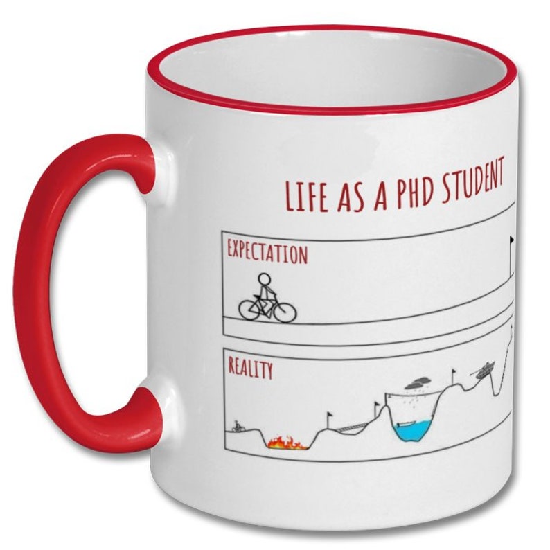 LIFE as a PHD STUDENT, expectations vs reality, phd student mug, phd student gift, doctorate mug, doctorate gift, phd graduation, new phd image 10