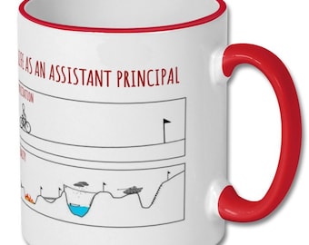 EXPECTATIONS VS REALITY assistant principal gift, assistant principal mug, assistant principal gift idea, mug for assistant principal