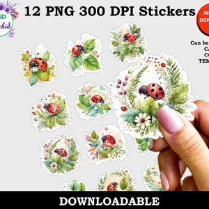 Ladybug Stickers, Digital Journal Stickers, Print and Cut Digital Stickers, 12 Different PNG Design Stickers, Instant Download Printable
