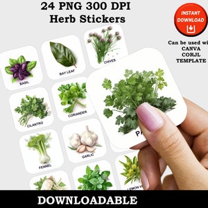 Herb Garden Stickers, Herbal Inspired Print and Cut Digital PNG Sticker Sheets, Herb AI Stickers, Garden 24 Sticker Pack, Instant Download