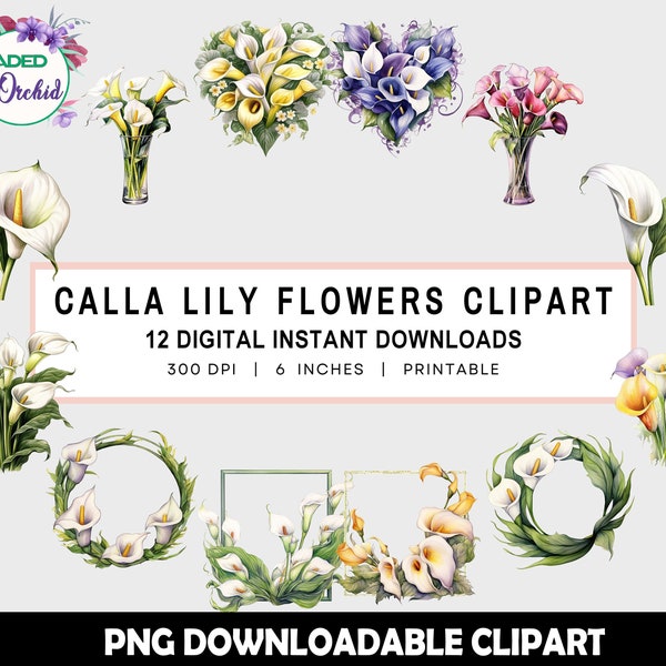 Watercolor Calla Lily Clipart, Floral Calla Lily Clip Arts, 12 Floral PNG Clipart, Graphic Calla Lilies Clipart, Instant Download, Printable
