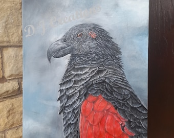 Original Oil Painting - Pesquet&#39;s Parrot Dracula Parrot on 16&quot; by 20&quot; canvas wildlife art