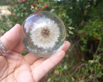 dandelion clock paperweight desk ornament nature preservation colourful office decor writer gift wishes shimmering art clear casting