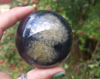 May include: A clear, dark sphere with a dandelion seed head suspended inside. The sphere is held in a hand with a silver feather ring. The background is a blurred view of green foliage and red berries.
