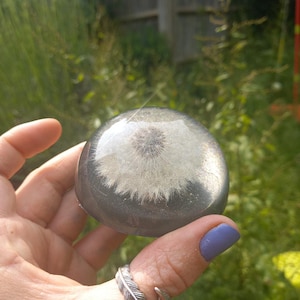 dandelion clock paperweight desk ornament nature preservation colourful office decor writer gift wishes shimmering art