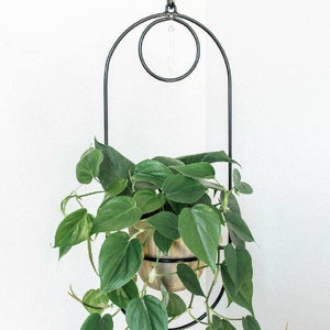 May include: A black metal hanging planter with a round inner ring and an oval outer ring. A green plant with large leaves is growing in a wooden pot inside the planter.