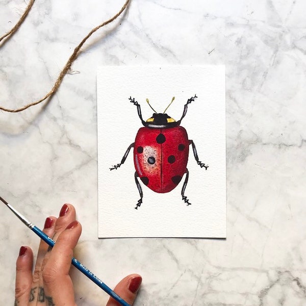 Original watercolor illustration painting picture decoration watercolor mini small beetle bug insect entomology ladybug insect ladybug