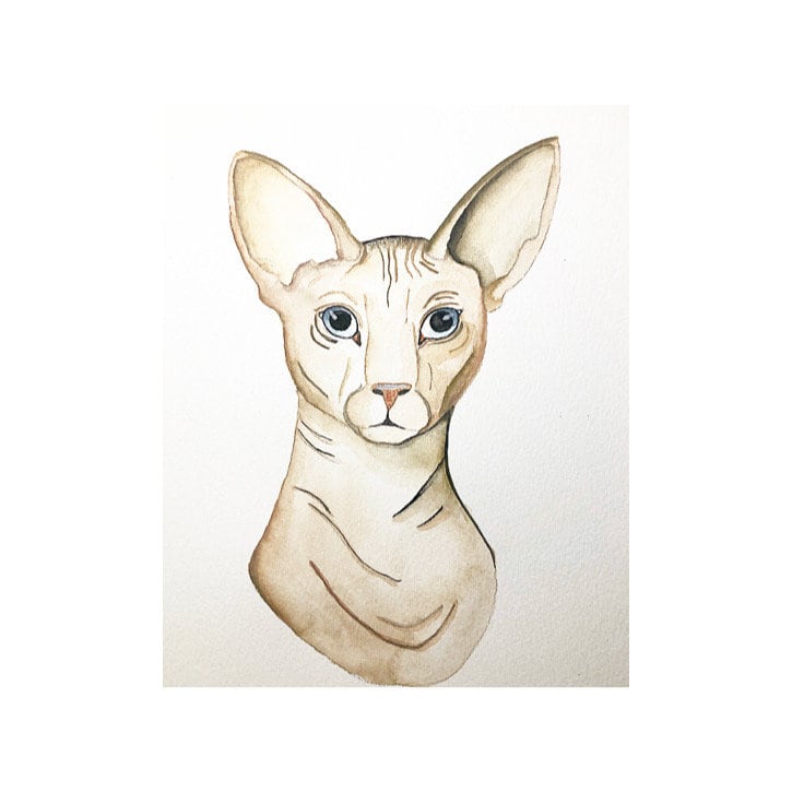 Sphynx Cat Print Angry Sphynx Cat Printable Photorealistic Cat