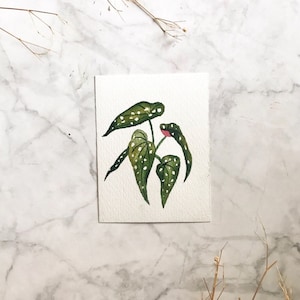 Carte carte de vœux Aquarelle originale Illustration Peinture Image Décoration Aquarelle Plante Tropical Saint-Valentin anniversaire