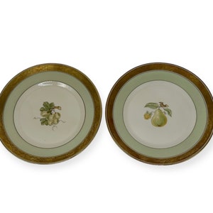 2 pratos de jantar Vintage Royal Copenhagen Dagmar 8,75” Pêra e uvas Dinamarca