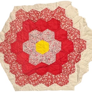 Vintage Cutter Quilt Piece 17” x 20” Grandma’s Flower Garden  Large Scale  #5