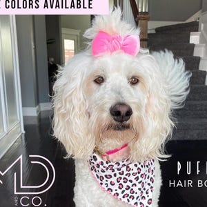 May include: A white dog wearing a pink bow on its head and a pink and black bandana with a leopard print around its neck. The dog is standing in front of a black and white background. The text "PUFFY HAIR BOWS" is visible in the bottom right corner of the image.