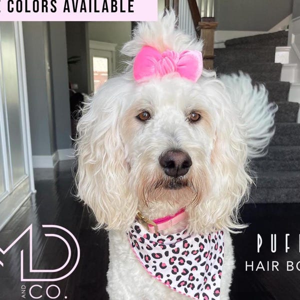 Dog Bows, Dog Hair Bow, Puffy Hair Bow, Golden Doodle, Dog Mom, New Puppy Gift, Pet Accessories