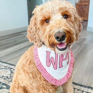 Bandana para perro de Arkansas, WPS, traje bordado para perro