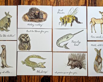 postcard collectors and postcrossing best for animal lovers Pack of 30 different postcards of british wildlife POSTCARDS OF BRITISH ANIMALS postcard collectors and postcrossing best for animal lovers Pack of 30 different postcards of british wildlife POSTCARDS OF BRITISH ANIMALS