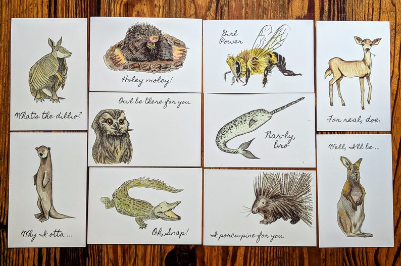 Ten Funny Animal Postcards Animal Drawings Cute Animal image 1