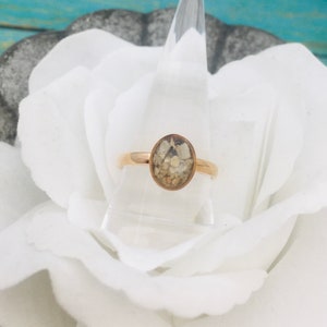 Rose Gold/Gold Plated Stainless Steel Oval Cremation Ring, Pet Loss Jewelry, Ash Urn Ring, Pet Memorial, Cremation Jewelry