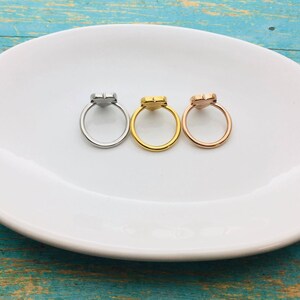 Ashes Ring, Pet Cremains Jewelry, Heart Urn Ring, Pet Memorial Ring, Pet Loss Jewelry, Stainless, Rose Gold Ring, Gold Ring, Ashes in Ring image 9