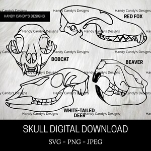 Skull Digital Download SVG PNG JPEG Clipart for Cricut