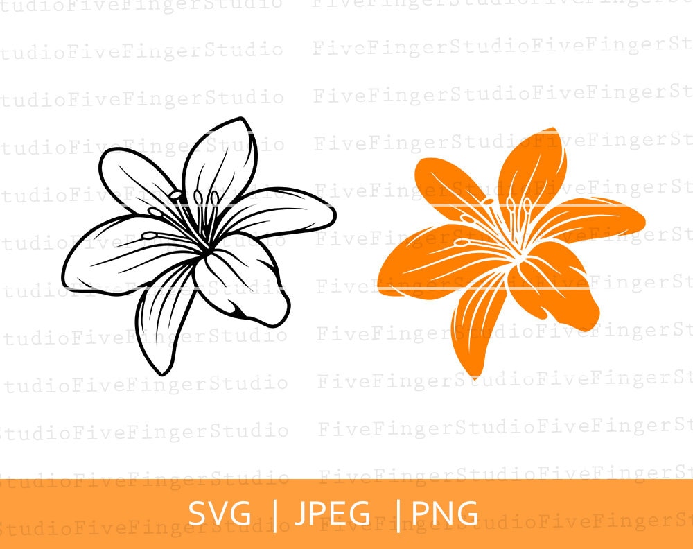 Free Free 50 Lily Flower Svg Free SVG PNG EPS DXF File