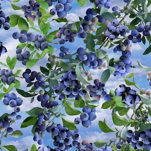Primrose Blueberry Bush Ice - Edyta Sitar - PER QUARTER METRE Primrose Blueberry Bush Ice - Edyta Sitar - PER QUARTER METRE
