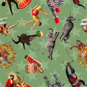 May include: A green background with a repeating pattern of circus animals, performers, and objects. There are tigers, zebras, elephants, a seal, a cannon, a lion, a monkey, and a person on a trapeze.