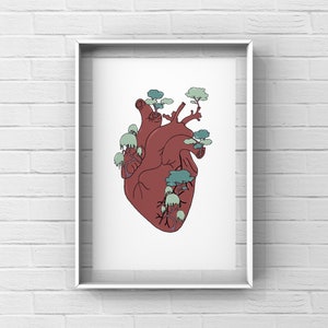 DOWNLOAD Anatomy heart picture, art print, medicine art print, doctor gift, nurse gift, doctor practice decor, medic