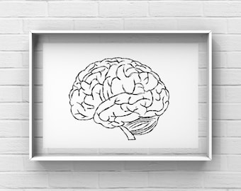DOWNLOAD Brain,brain, anatomy art, anatomy art print brain, doctor decor, medic gift, doctor office decor, medical student