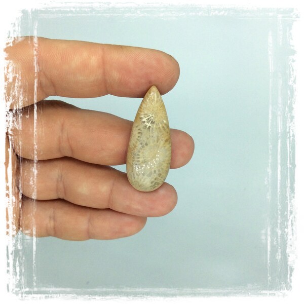 Grounding stone good for bringing change Beauty Pattern Chrysanthemum Pattern Coral Fossil Beige Yellow Pear Shape Cab 41x28x7mm. 62.28Cts