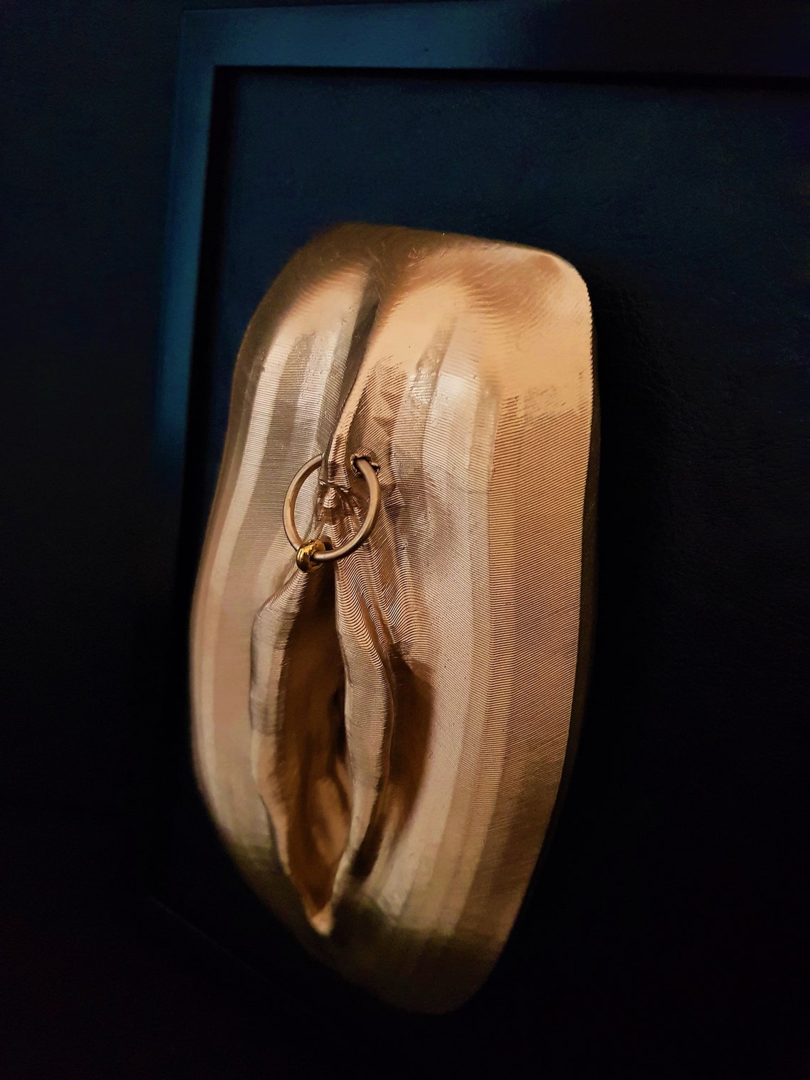 Pierced Vagina 3D Art Sculpture Erotic Vulva Wall Art Gifts Etsy Hong