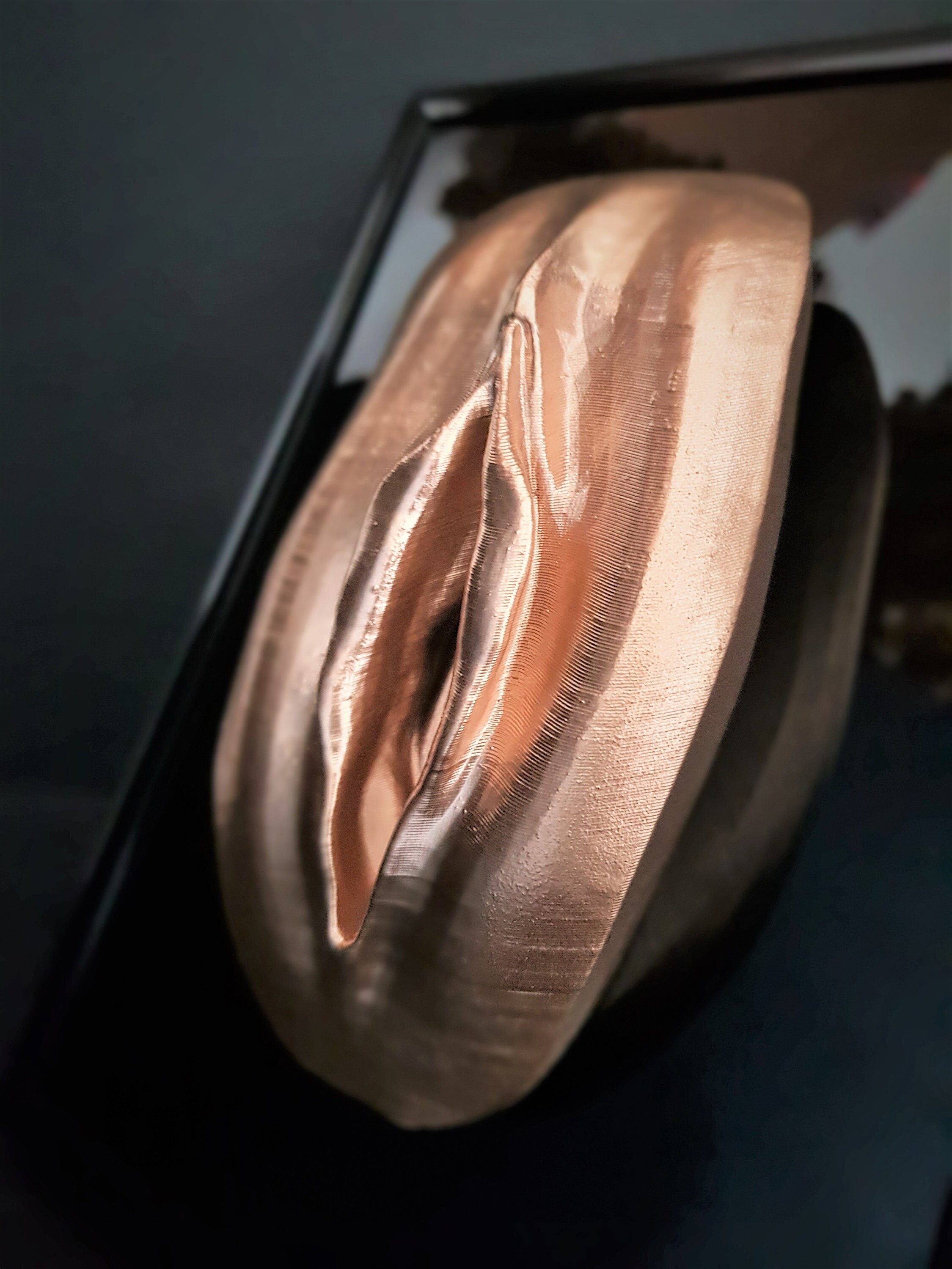 Vagina 3D Art Sculpture Erotic Wall Art Gifts Fetish Etsy Australia