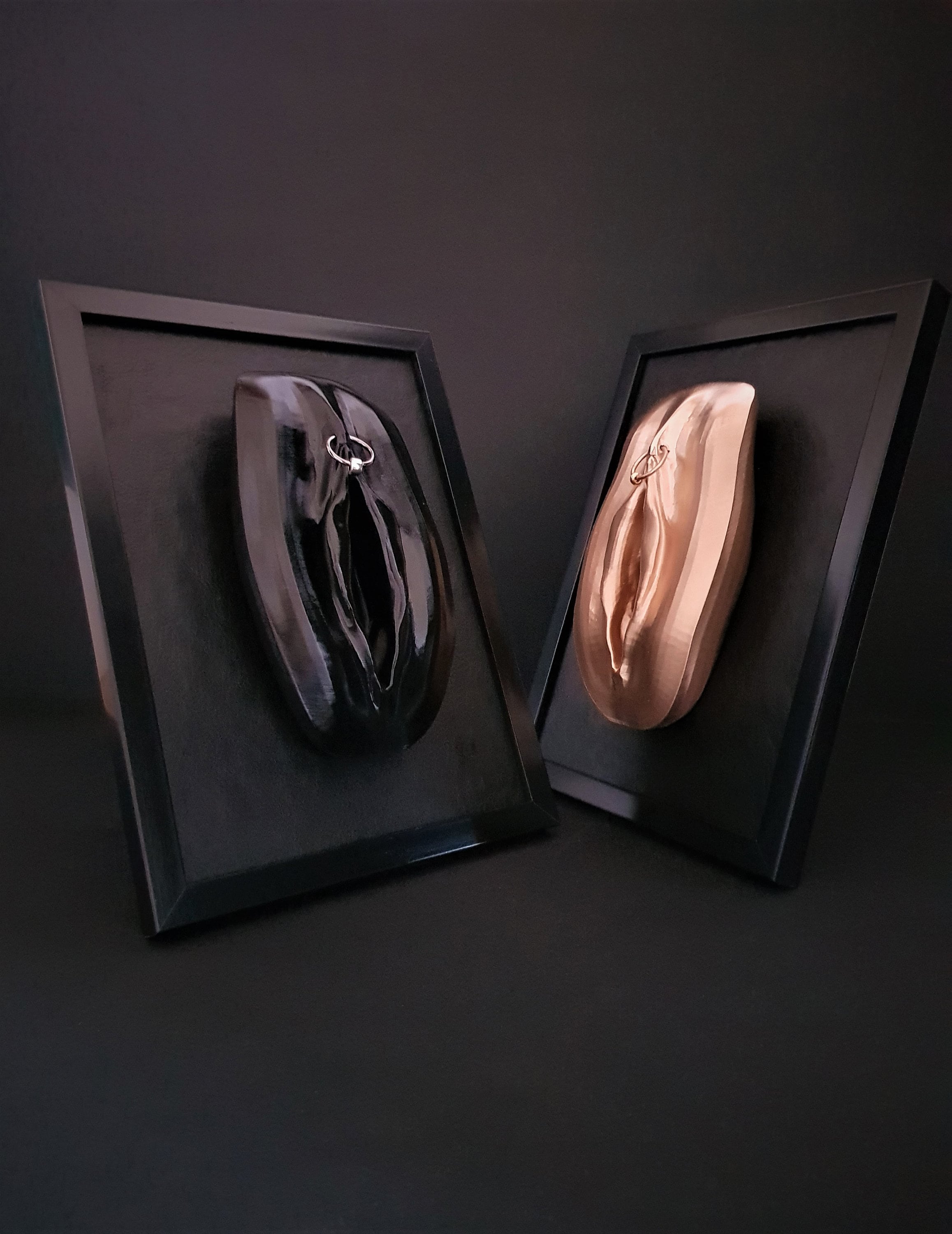 Doorboorde Vagina 3D Art Sculpture Erotische Vulva Wall Art Volwassen Foto Hq