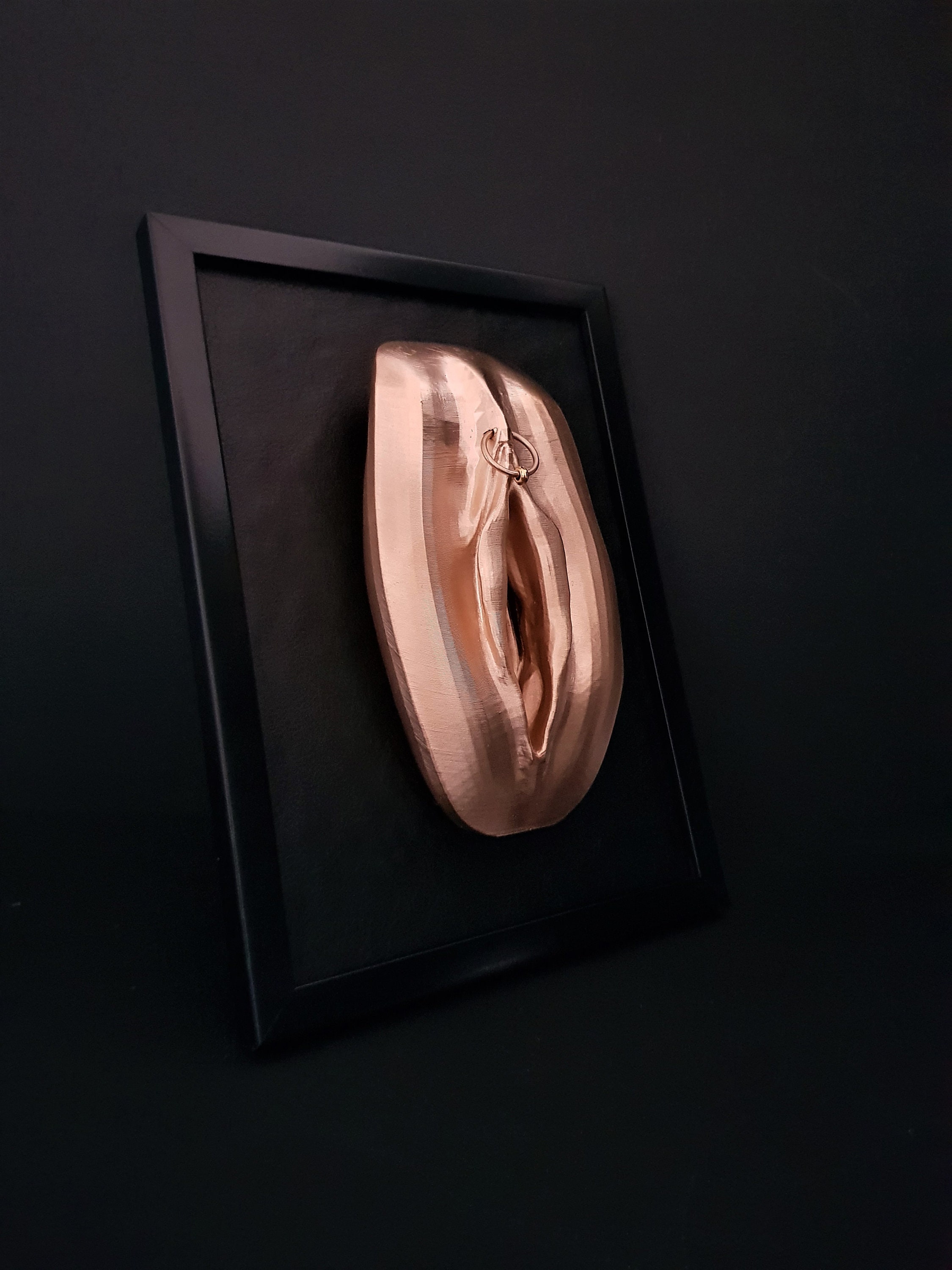 Doorboorde Vagina 3D Art Sculpture Erotische Vulva Wall Art