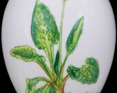 Chamart limoges france hand painted yellow floral trinket egg jewelry box