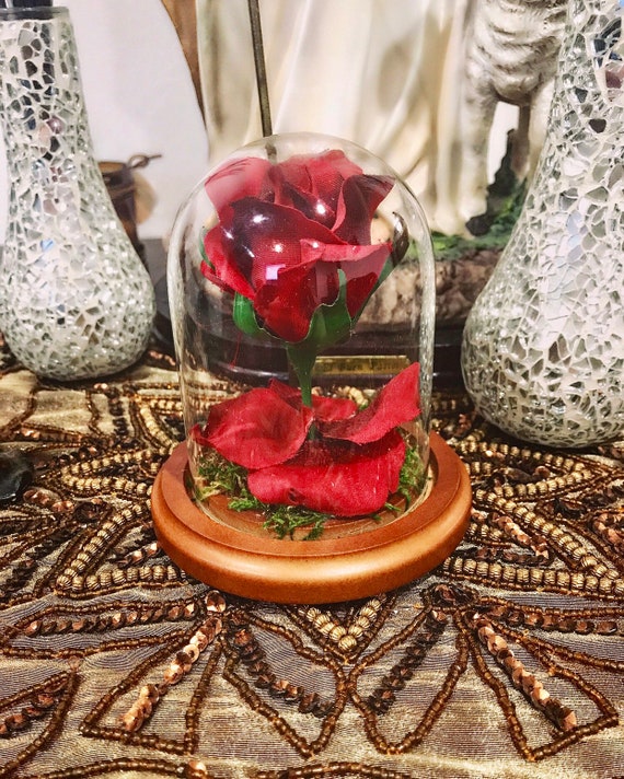 Glass dome, beauty and the beast dome, red flowers, gift ideas.