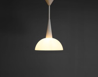 Pendant Light by Mathieu Mategot