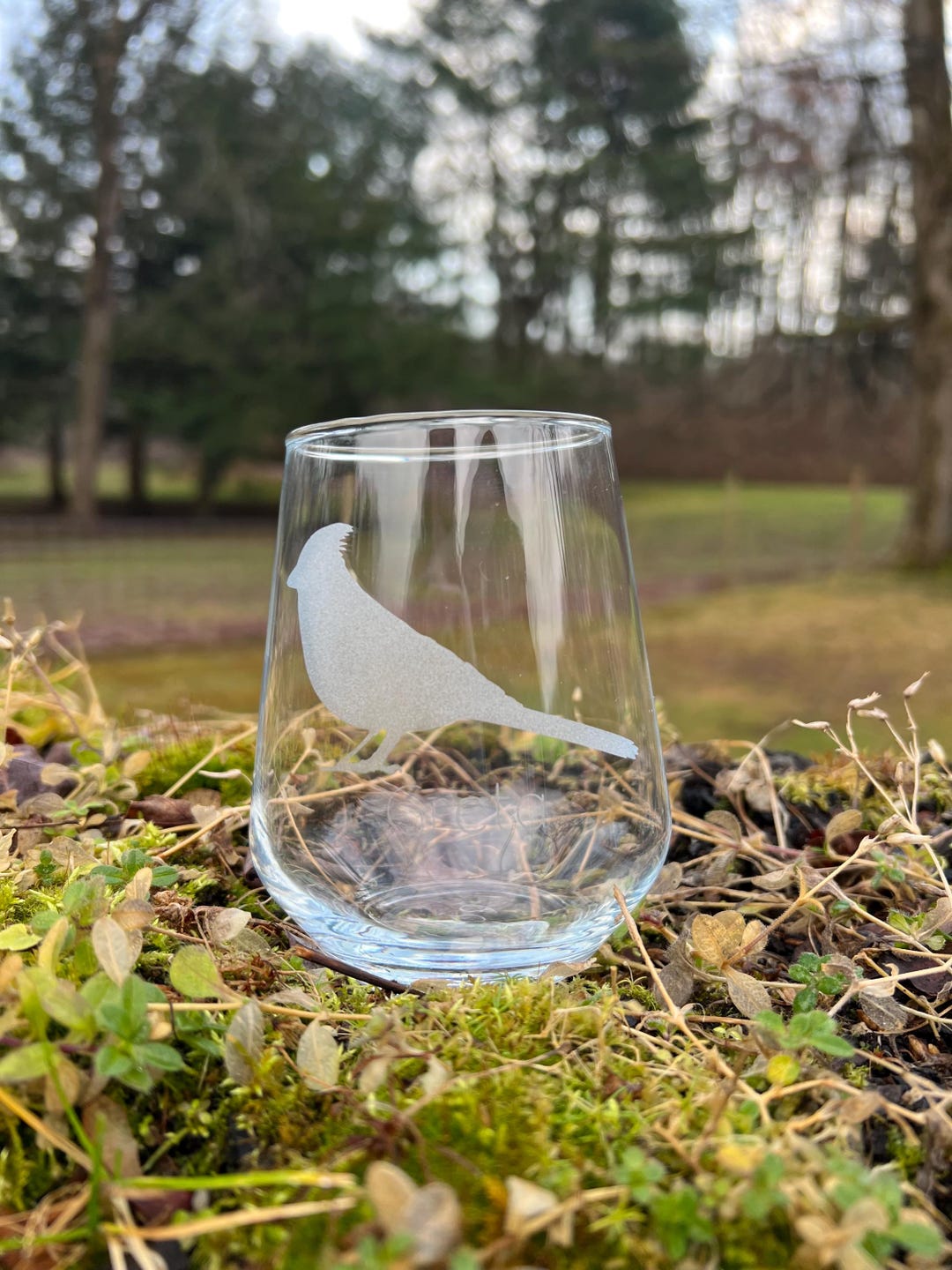 Cardinal Stemless Etched Wine Glass, Personalized Bird Lovers Gift ...