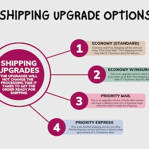 May include: An infographic titled "SHIPPING UPGRADE OPTIONS" with four numbered options. The first option is "Economy (Standard)", the second is "Economy w/Insurance", the third is "Priority Mail", and the fourth is "Priority Express".