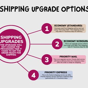 Op de afbeelding: Een infographic met "VERZENDUPGRADE-OPTIES". Het toont vier genummerde opties: Economy (Standaard), Economy met verzekering, Priority Mail en Priority Express. Elke optie biedt informatie over levertijden en services.