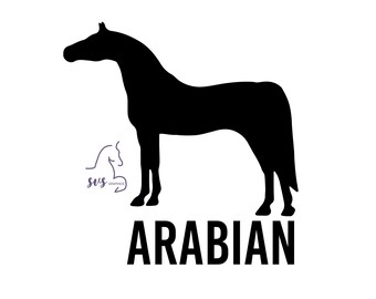 Arabian horse art | Etsy