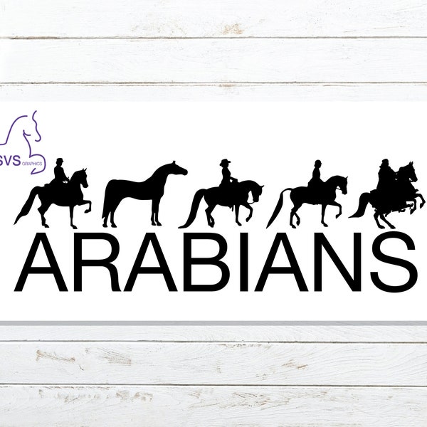 Arabian Horse Car Decal Vinyl 4x12"
